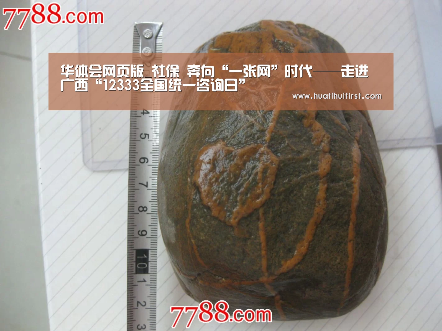 华体会网页版_社保 奔向“一张网”时代——走进广西“12333全国统一咨询日”(图2) 华体会网页版_社保 奔向“一张网”时代——走进广西“12333全国统一咨询日”(图2)