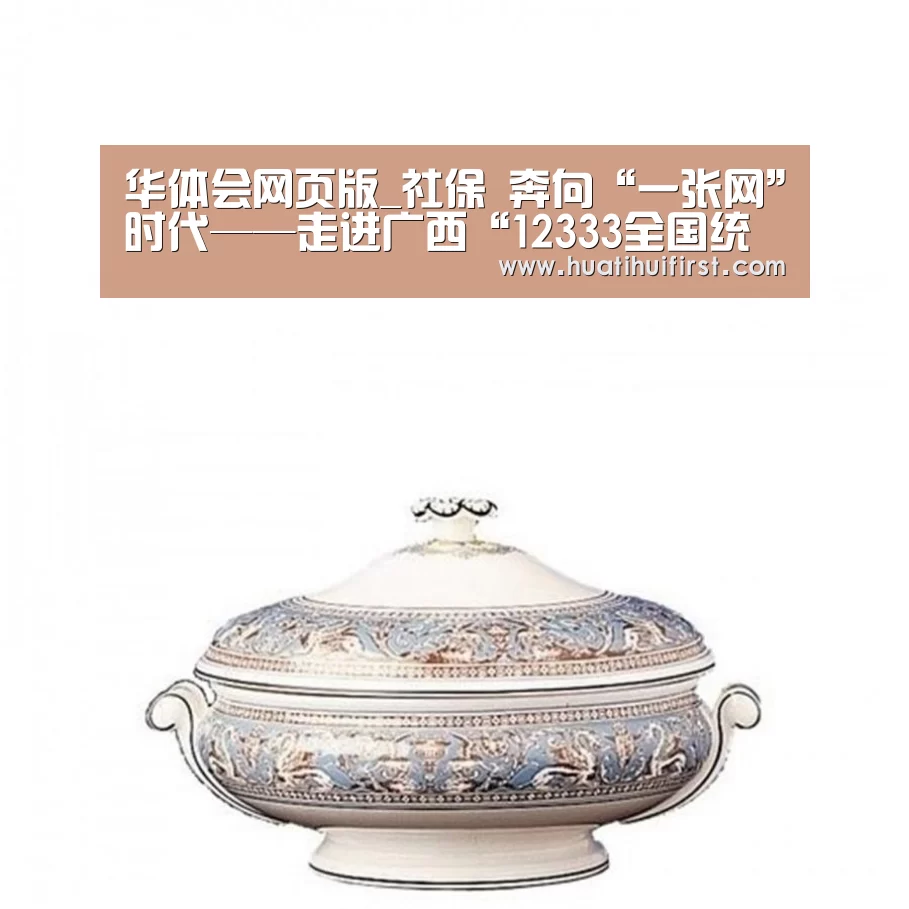 华体会网页版_社保 奔向“一张网”时代——走进广西“12333全国统一咨询日”(图4) 华体会体育网站