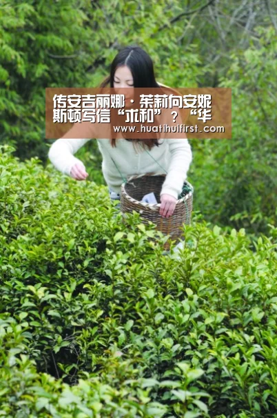 传安吉丽娜·茱莉向安妮斯顿写信“求和”?“华体会网页版”(图1) 传安吉丽娜·茱莉向安妮斯顿写信“求和”?“华体会网页版”(图1)